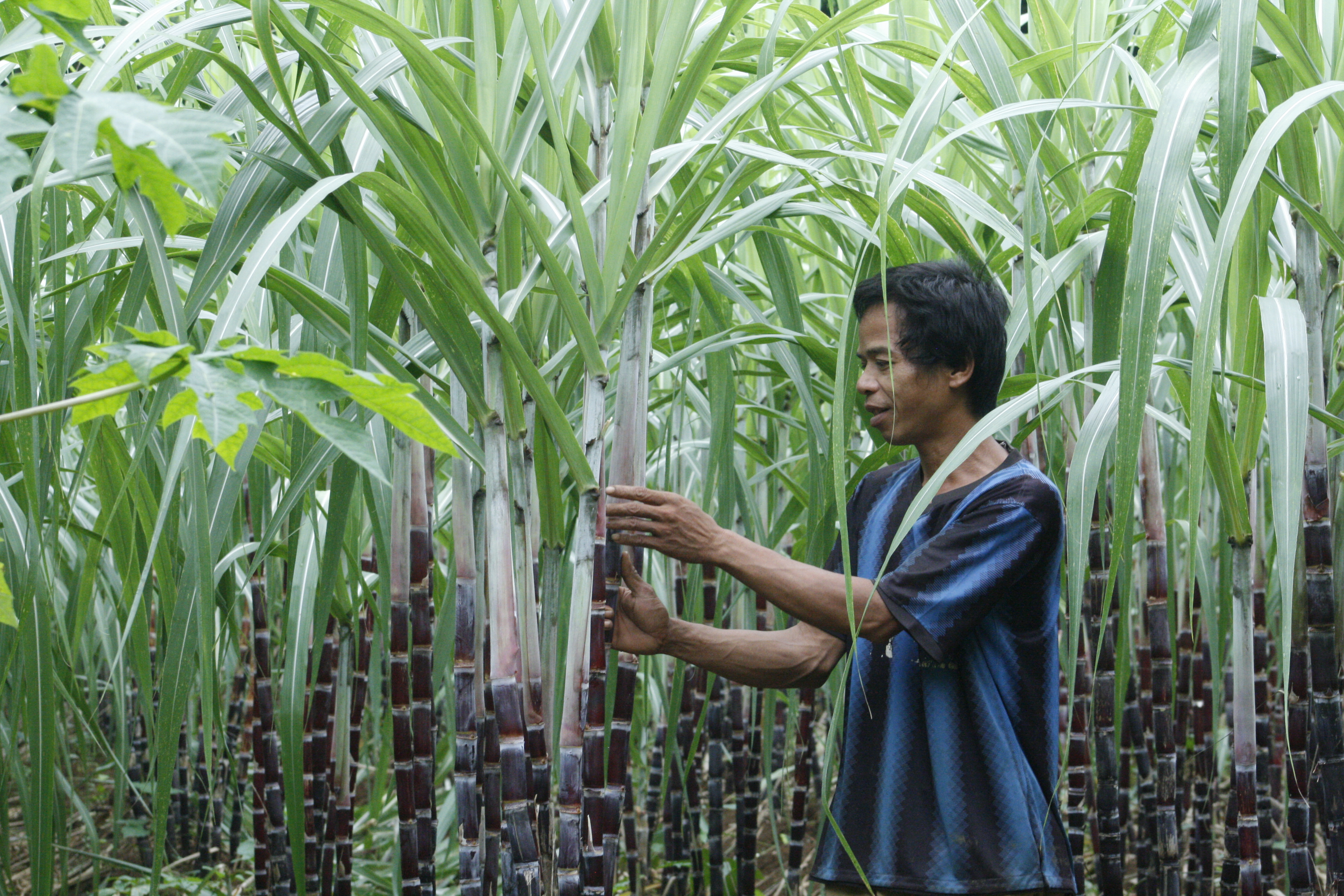 Kinh tế phát triển khi tư duy sản xuất thay đổi